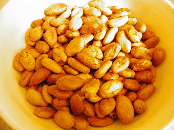 raw cacao beans