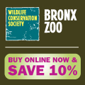 10% of Bronx Zoo