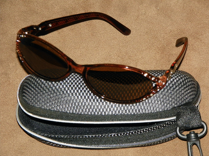 sunglasses & case