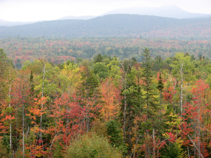 Adirondacks