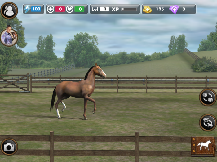 My Horse