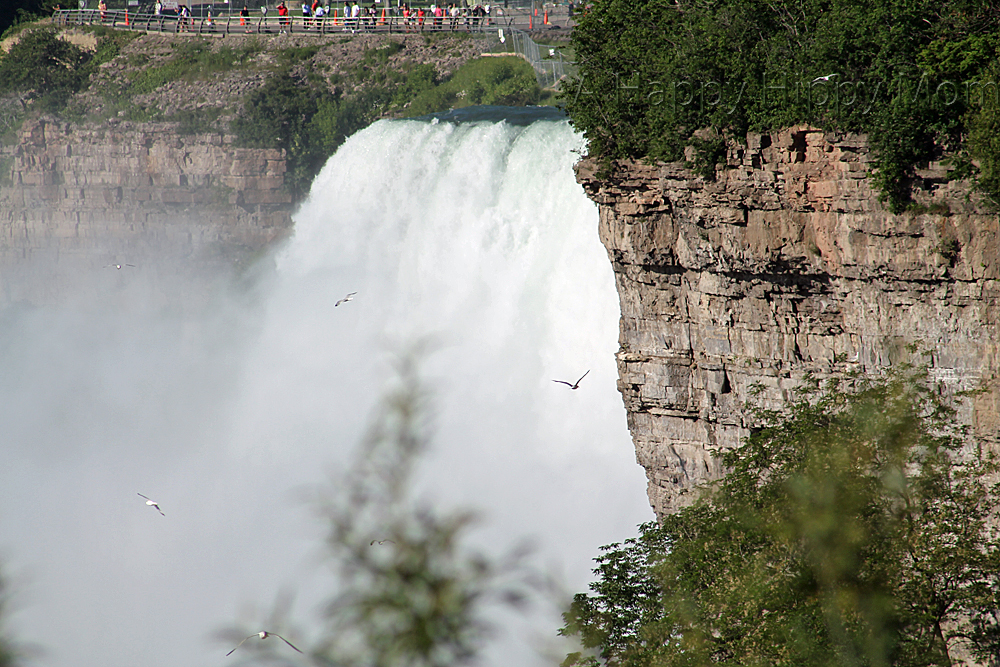 Niagara Falls 