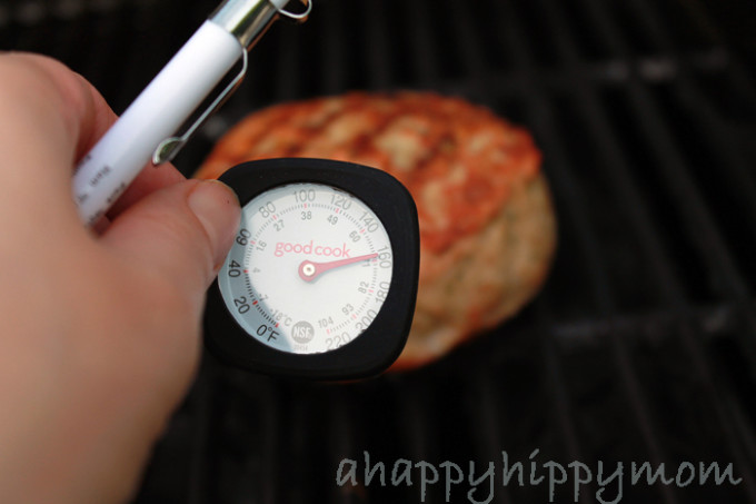 Instant Read Meat Thermometer with case