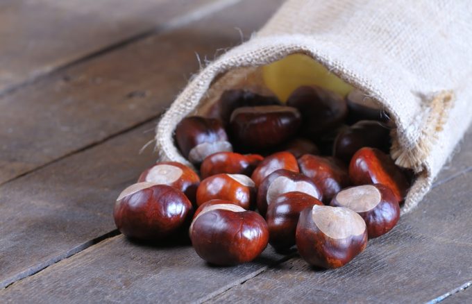 Chestnuts