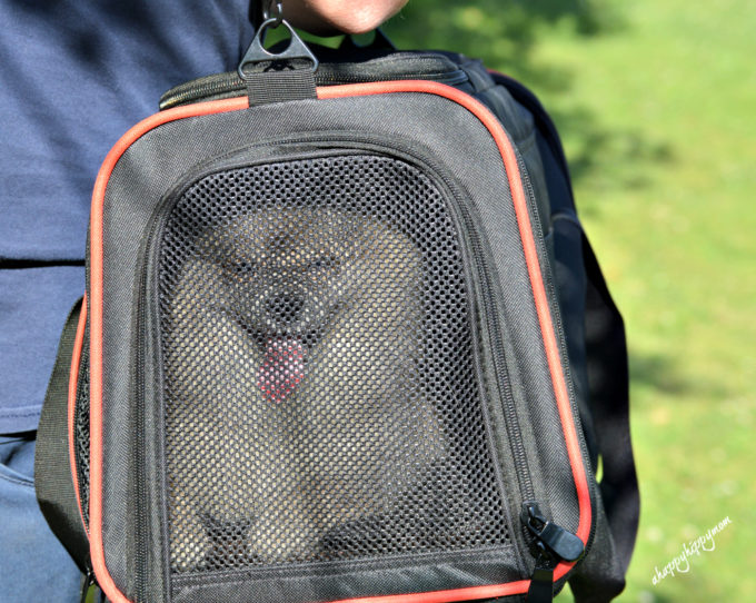 pet travel bag