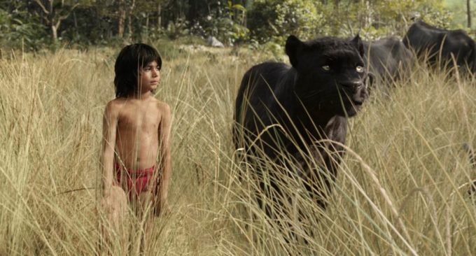 THE JUNGLE BOOK