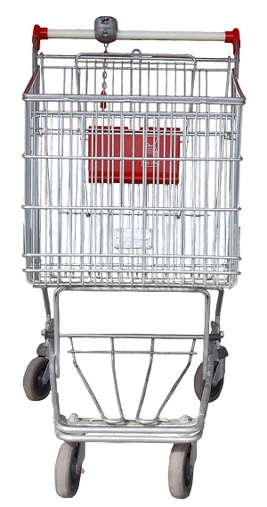 shopping cart