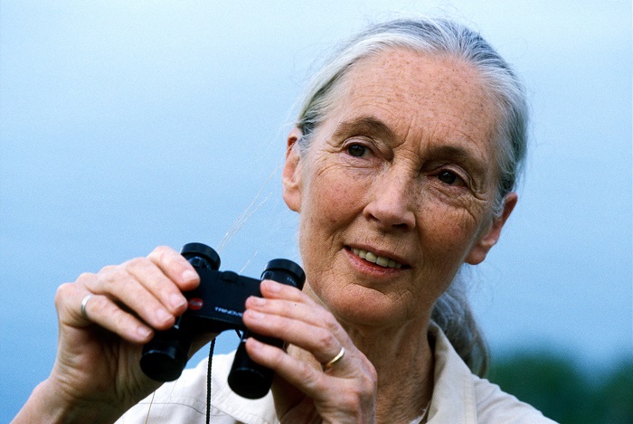 Jane Goodall