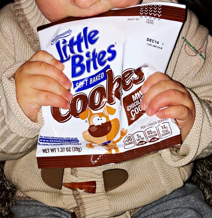 Little Bites Mini Chocolate Chip Cookies