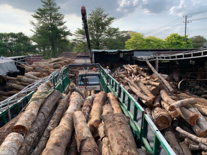 logging trucks